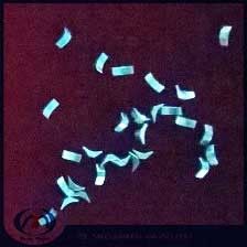 China Imanes formados de encargo del neodimio para la industria de IT proveedor